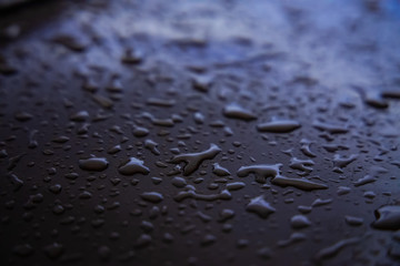Drops after rain in the dusk