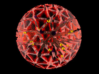 3D Rendered Illustration of an anatomically correct interpretation of the COVID19 Virus, also known as Corona Virus, isolated on black