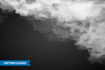 Realistic transparent clouds. Sky panorama. Vector illustration.