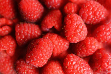 Heap of sweet red raspberries. Raspberry fruit close up. Top view. Closeup of raspberries in macro. Lots of red and sweet raspberries. 