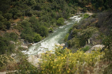 Fototapeta na wymiar river in the mountain