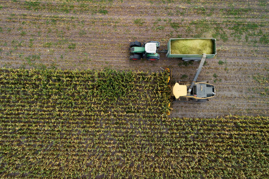 Germany, Bavaria, Drone view of combine and tractor harvesting corn