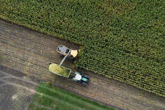 Germany, Bavaria, Drone view of combine and tractor harvesting corn