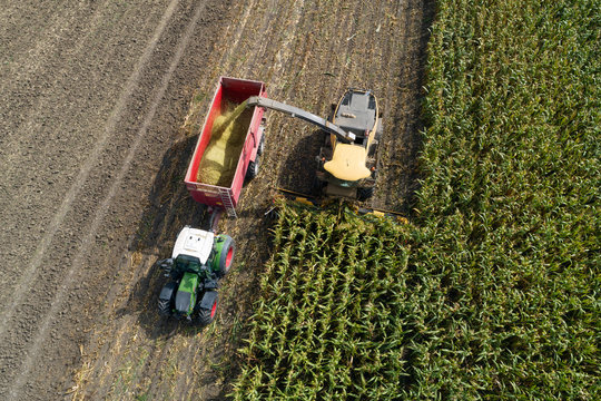 Germany, Bavaria, Drone view of combine and tractor harvesting corn