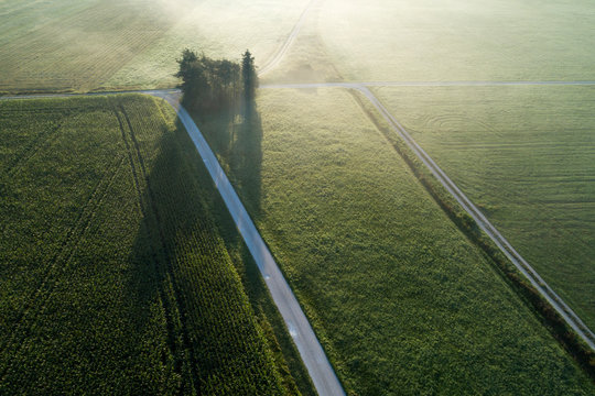 Germany, Bavaria, Drone view of green countryside fields at foggy dawn