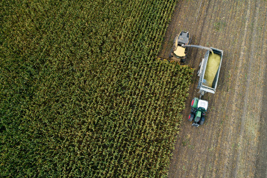 Germany, Bavaria, Drone view of combine and tractor harvesting corn