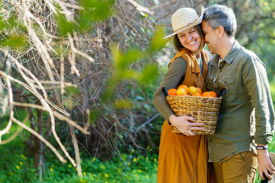 Hapy couple with basket full of oranges in the field
