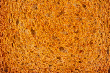 closeup macro of toasted bread slice