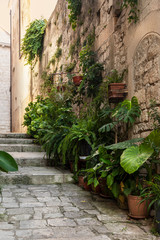 Old Mediterranean street with stairs in Korcula town. Rough stone walls and facades and lots of green plants in Dalmatia, Croatia. Historical place creating a picturesque and idyllic scenery