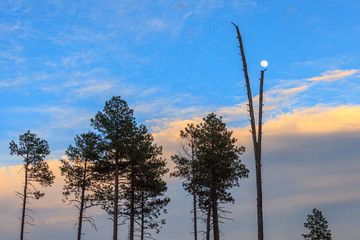 New Mexico, Moonscape