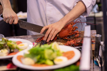 A cook in a white suit cutting a red vibrant lobster and preapring fresh healthy dishes in a kitchen envionment