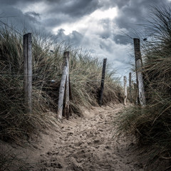 Obraz premium Square format photo of a path in the sand crossing the dunes between fences. Dramatic sky with a sunbeam.