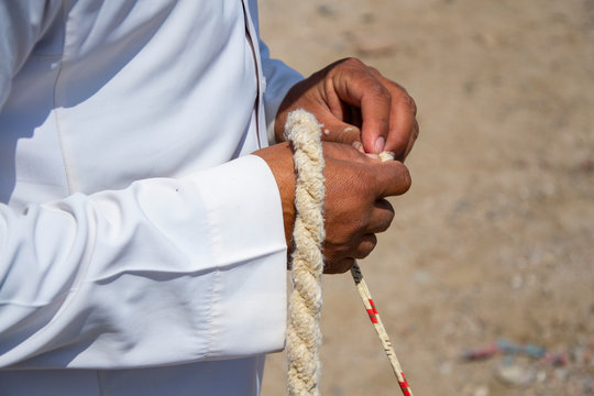 Egyptian Bedouin camel guide holding a rope halter in his hands close up.