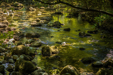Ljuta river in Konavle, the rural area south of Dubrovnik, Croatia. The river contains cold, very clean, clear water. Beautiful surroundings with trees, greenery and rounded rocks, idyllic scenery