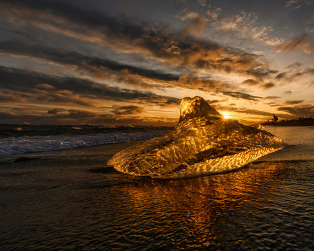 Iceland, Ice chunk lying at shore of Jokulsarlon at dramatic sunset