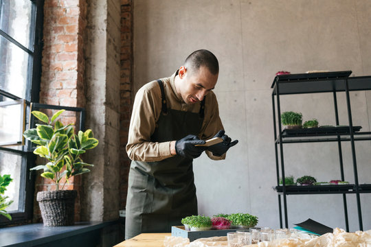 Man taking smartphone picture of microgreens on table