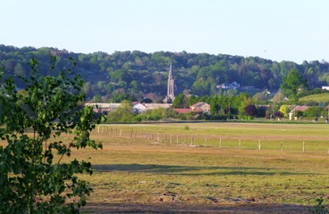 Fototapeta premium Doda