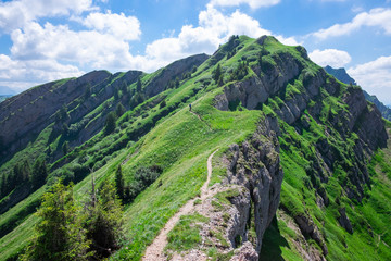 Tiny person hiking along footpath at a cliff with summer meadow in the mountain of Nagelfluhkette,...