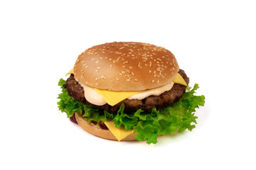 Tasty hamburger or cheeseburger isolated on white background closeup