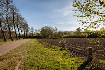 A view of the rural area near the Philips de Jongh Park and Strijp R in Eindhoven City on a sunny day in summer. Dutch nature with a road, trees and greenery on a spring day in April