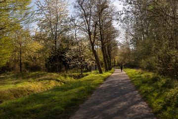 A view of the rural area near the Philips de Jongh Park and Strijp R in Eindhoven City on a sunny day. Dutch nature with a road, trees with blossoms and greenery on a spring day in April