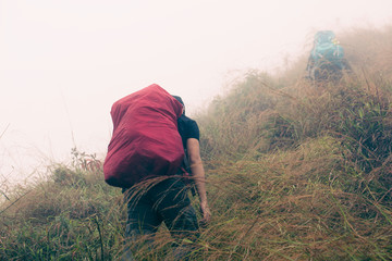 Hikers or backpacker carry backpack  walk in forest , adventure trekking in fog on top of mountain