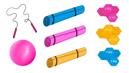 A set of isolated sports items. Home activities, fitness. Dumbbells, yoga mats, jump rope, aerobics ball