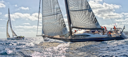 Sailing yacht regatta. Yachting. Sailing race