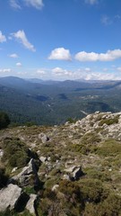 35,35,139,151.856705