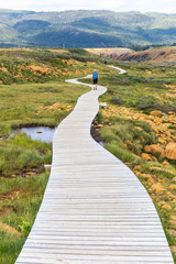 Boardwalk on Tablelands Trail, Gros Morne National Park, Newfoundland and Labrador, Canada