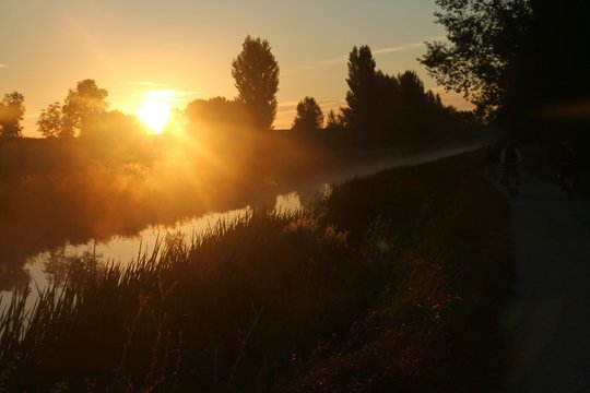 Yellow Sunbeam Between Trees