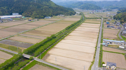 岐阜県 山県市 新緑並木 ドローン空撮