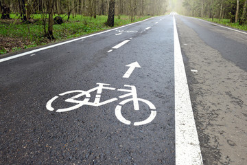Obraz premium Bicycle lane signage on a street. Bicycle path in the summer forest