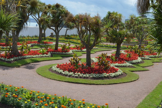 Exotic gardens inTorquay, Devon, England