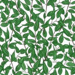 Green floral seamless pattern.  Leaves on a white background. Hand painted, watercolor pattern.