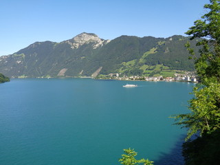 Mountain view through the swiss lake 