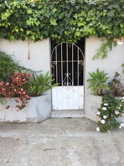 old door and ivy