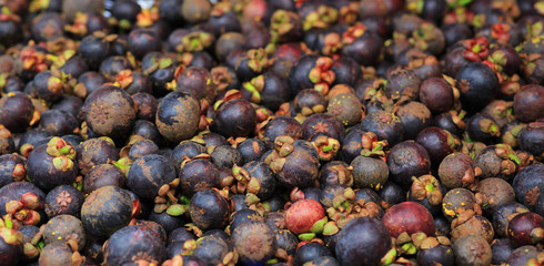 Stack of mangosteen‎ in market 