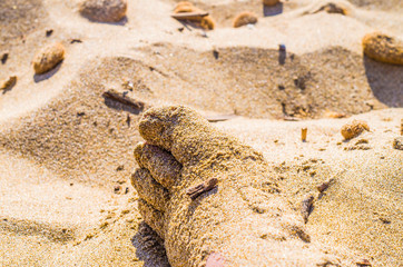 human foot in the sand