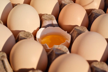 Many eggs in a cardboard box, one egg is broken and the yolk is visible.