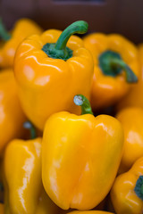 Close-up of yellow bell peppers in container