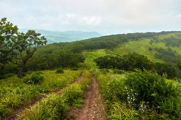 The road in the green hills. Sea bay in the sea of Japan surrounded by green hills by day.