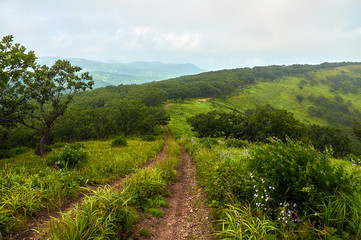 Naklejka na ściany i meble The road in the green hills. Sea bay in the sea of Japan surrounded by green hills by day.