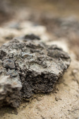 Close-up of rocks on ground