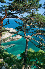 Sea bay with a sandy beach. View from above.