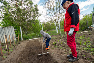 Caucasian boy rakes the ground in a garden bed