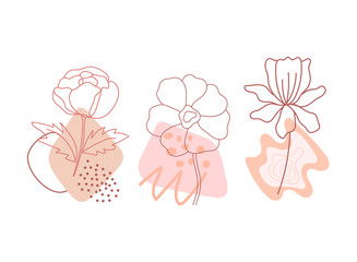 Trendy floral vector illustration. Beautiful neutral flowers set with modern geometric shapes isolated on white background. Hand drawn outline botanical for logo design, floral cards, prints.