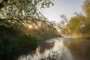 rzeka Bzura, wiosenny poranek