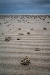 Sand Cast: Orkney Islands