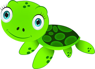 funny turtle cartoon